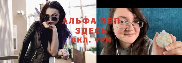 дмт Алексин