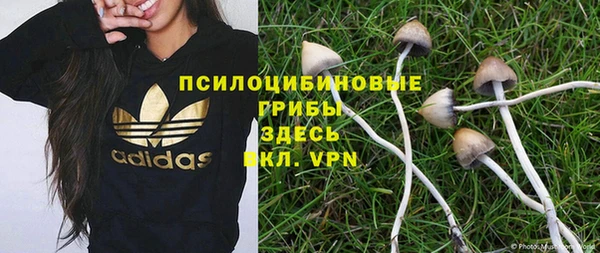 дмт Алексин